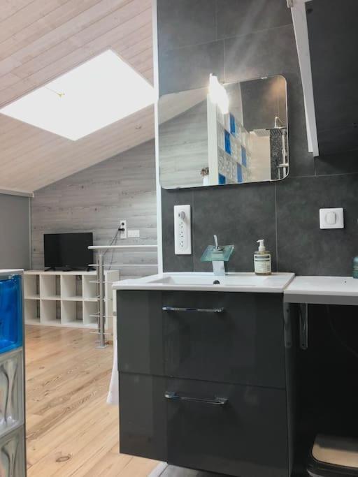 Apartamento Duplex Atypique 20' De Toulouse Leguevin Exterior foto