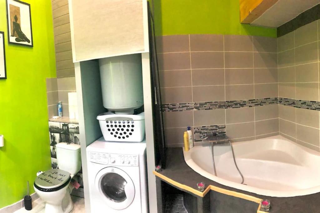 Apartamento Duplex Atypique 20' De Toulouse Leguevin Exterior foto